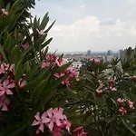 拉塔诺膳食公寓 3*